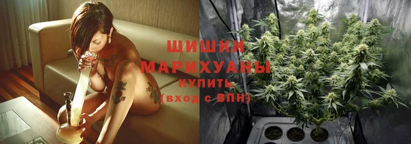 spice Алзамай