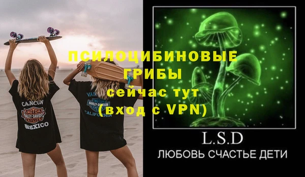 spice Алзамай