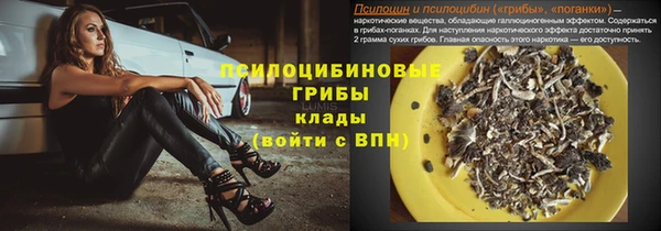 spice Алзамай
